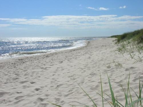 Falsterbo Camping Resort Skanör med Falsterbo エクステリア 写真